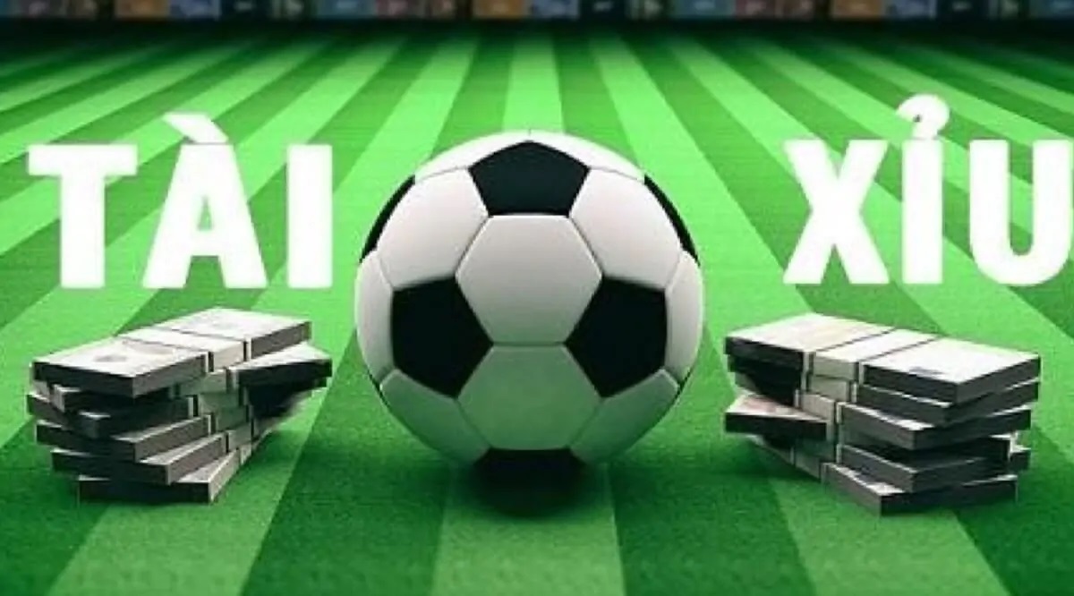 Kinh nghiệm soi kèo tài xỉu bóng đá, quy tắc bất di bất dịch nhà cái không muốn bạn biết - Ảnh 2